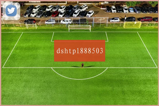 dshtpl888503