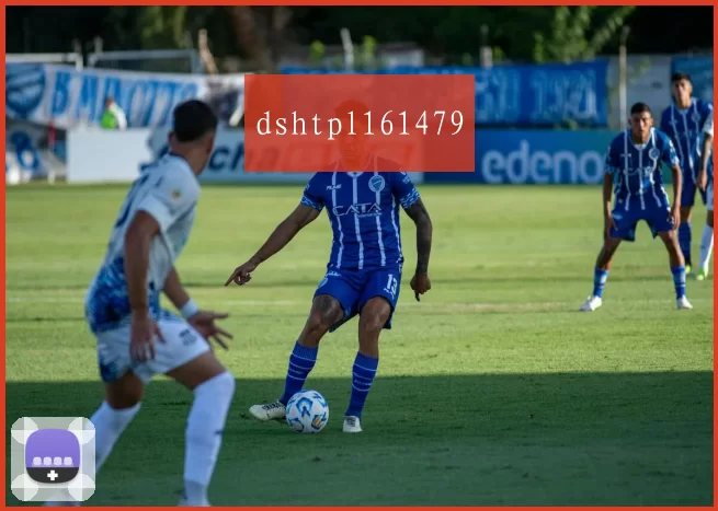 dshtpl161479
